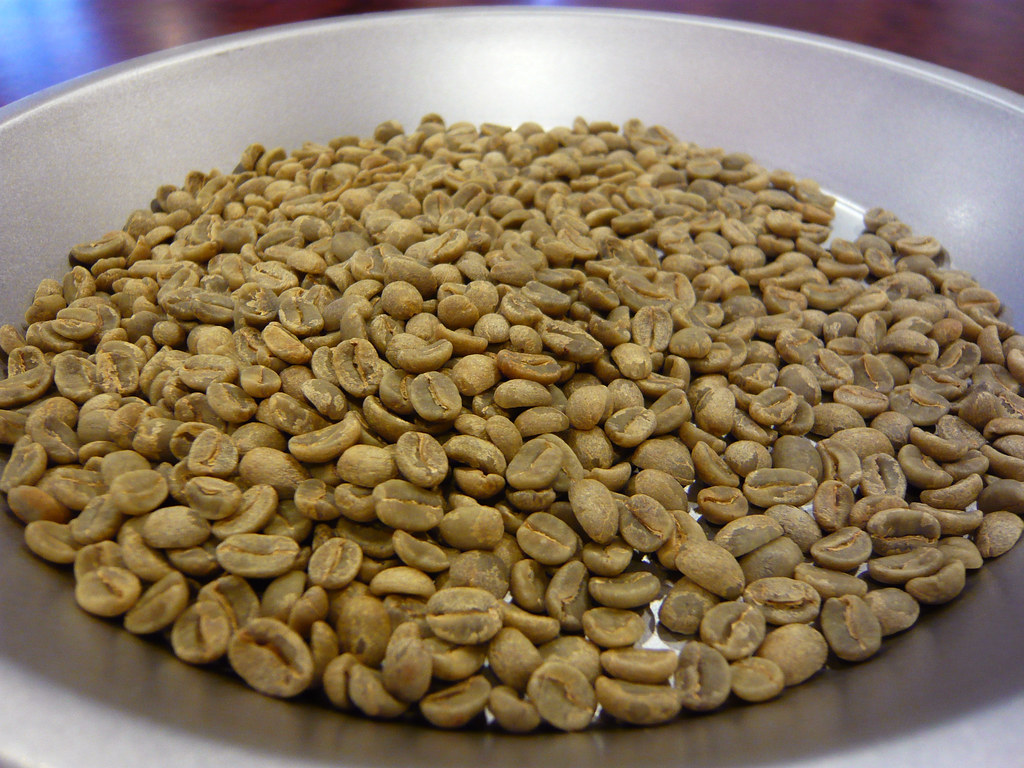 Raw green coffee beans ready for assessment